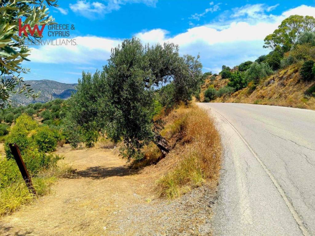 Εξωτερικοι χώροι