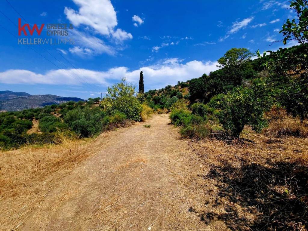 Εξωτερικοι χώροι