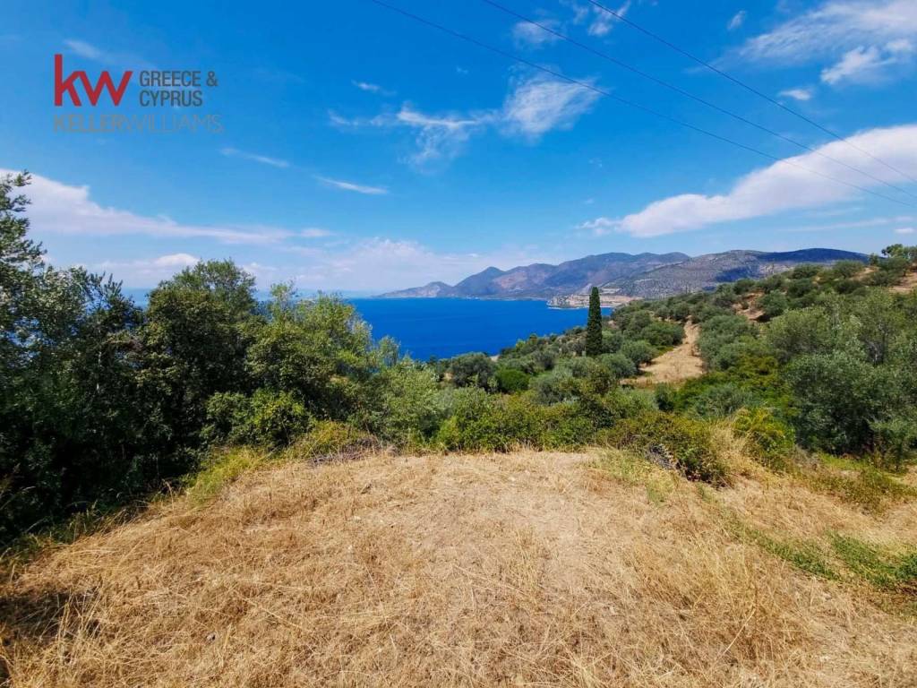 Εξωτερικοι χώροι