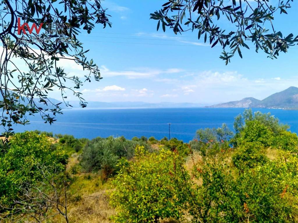 Εξωτερικοι χώροι