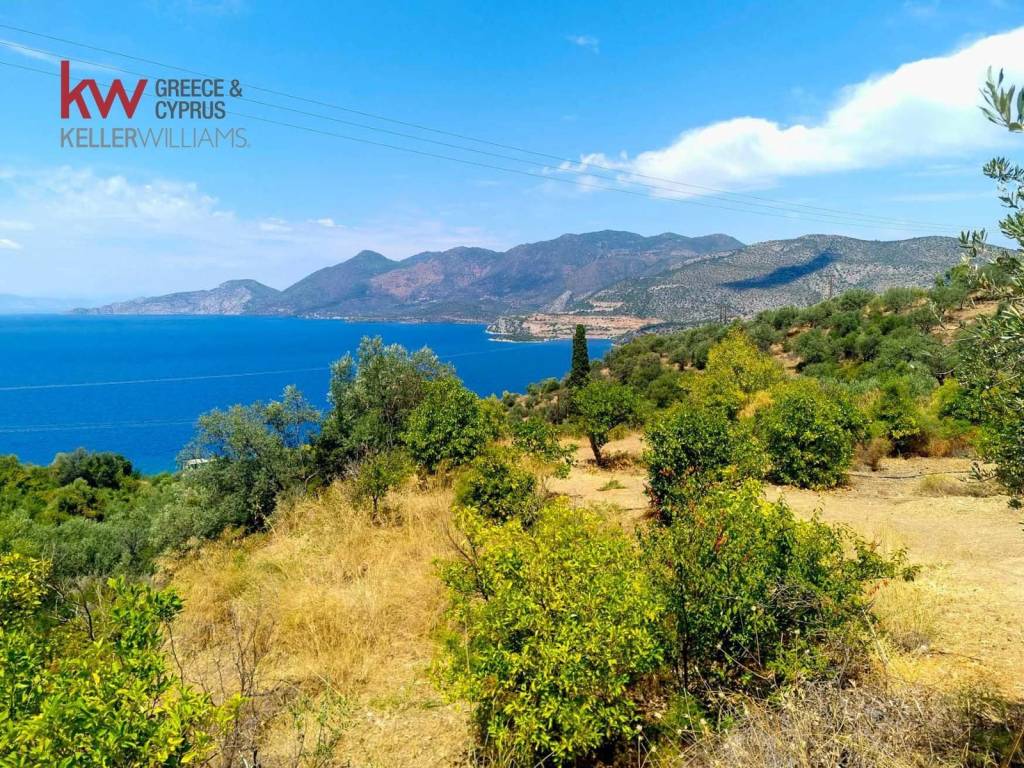 Εξωτερικοι χώροι