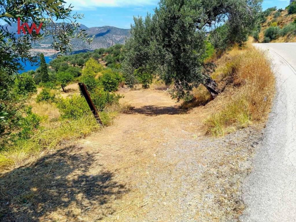 Εξωτερικοι χώροι