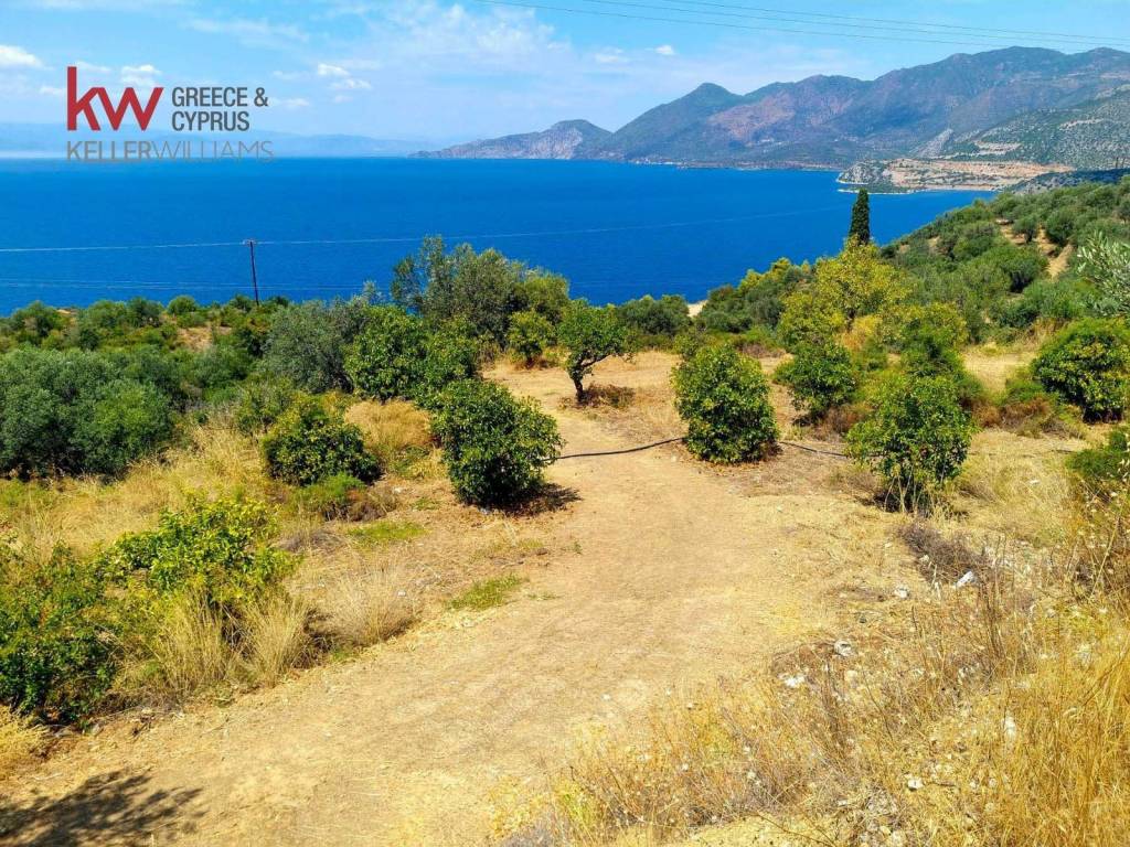 Εξωτερικοι χώροι