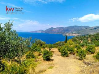 Εξωτερικοι χώροι