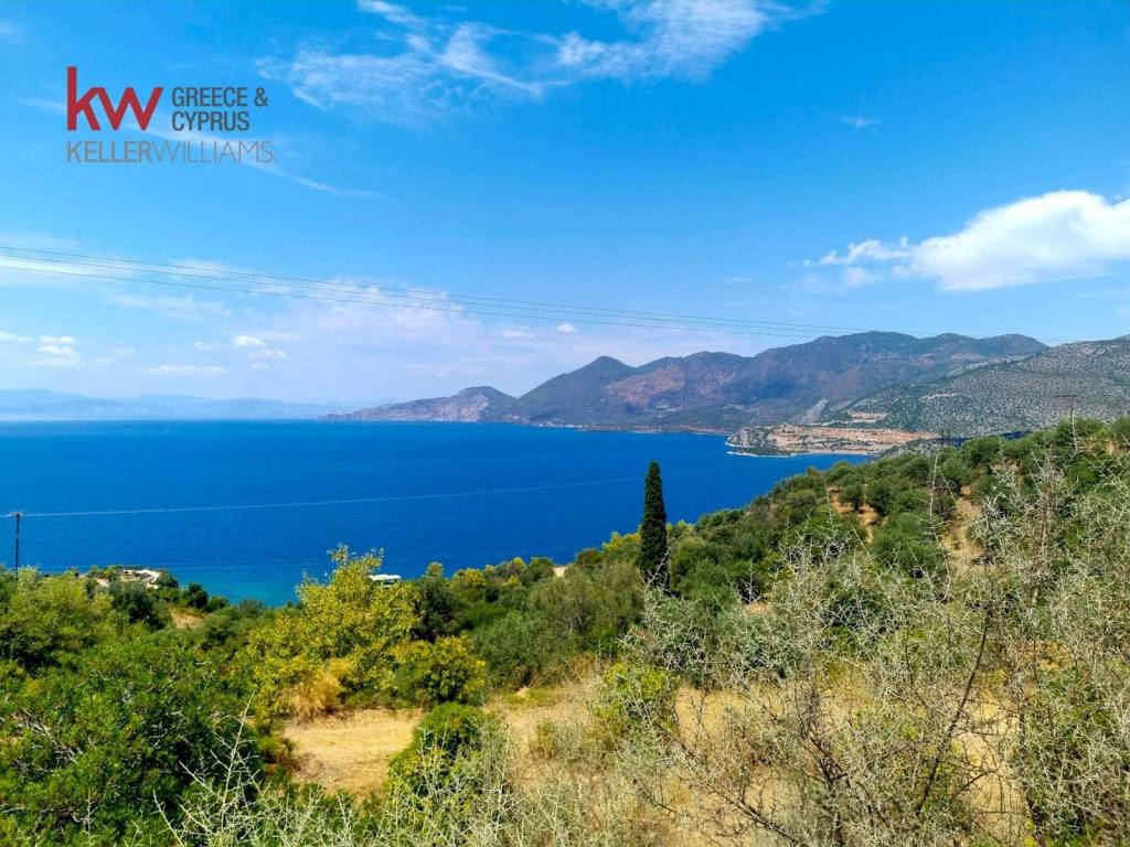 Εξωτερικοι χώροι