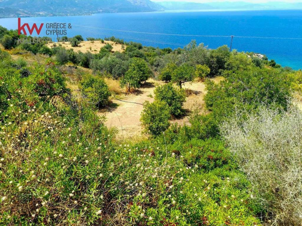 Εξωτερικοι χώροι