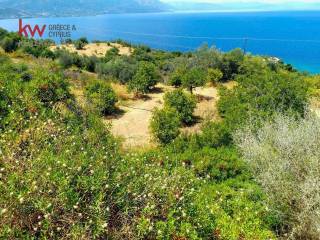 Εξωτερικοι χώροι