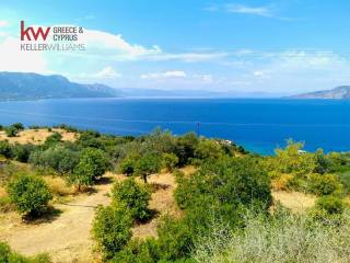 Εξωτερικοι χώροι