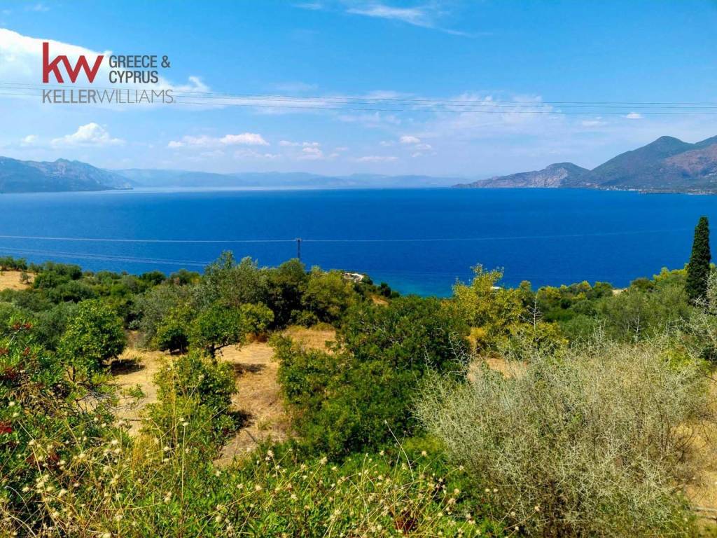 Εξωτερικοι χώροι