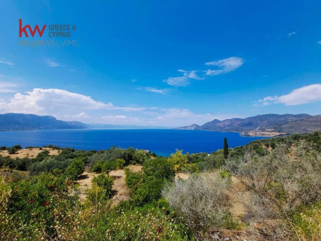 Εξωτερικοι χώροι