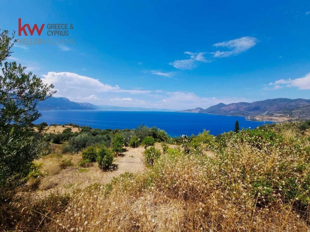 Εξωτερικοι χώροι