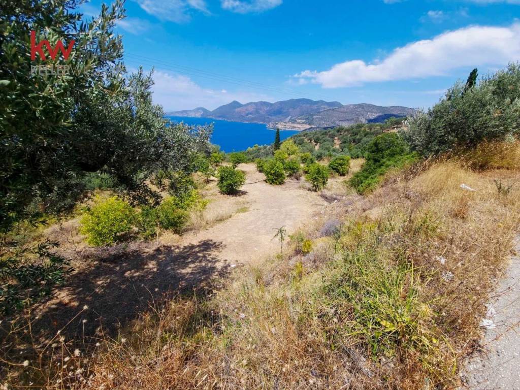 Εξωτερικοι χώροι