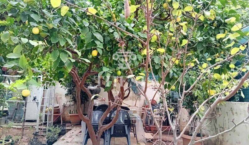 Ύπαρξη ανθρώπου