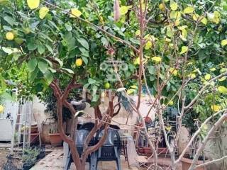 Ύπαρξη ανθρώπου