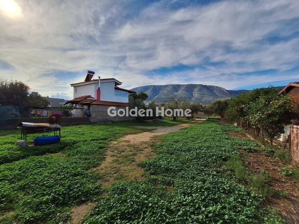 Κυρίως Χώρος