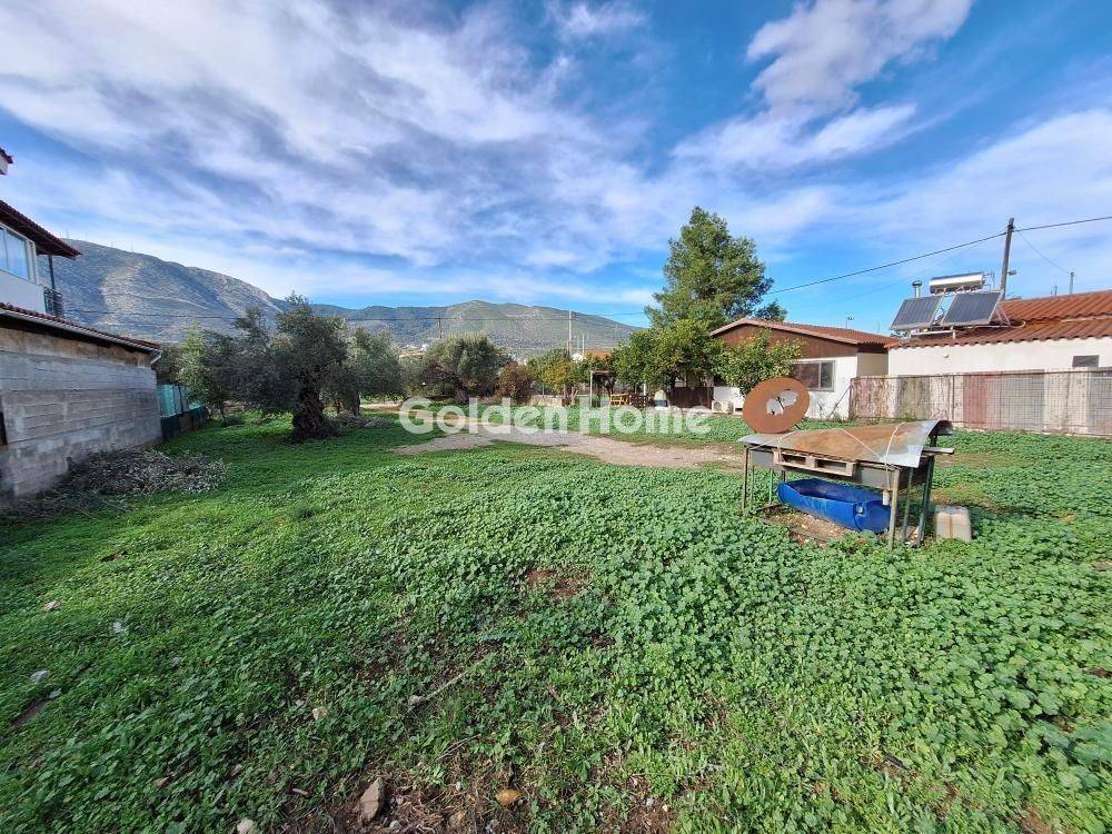 Κυρίως Χώρος