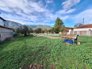 Κυρίως Χώρος