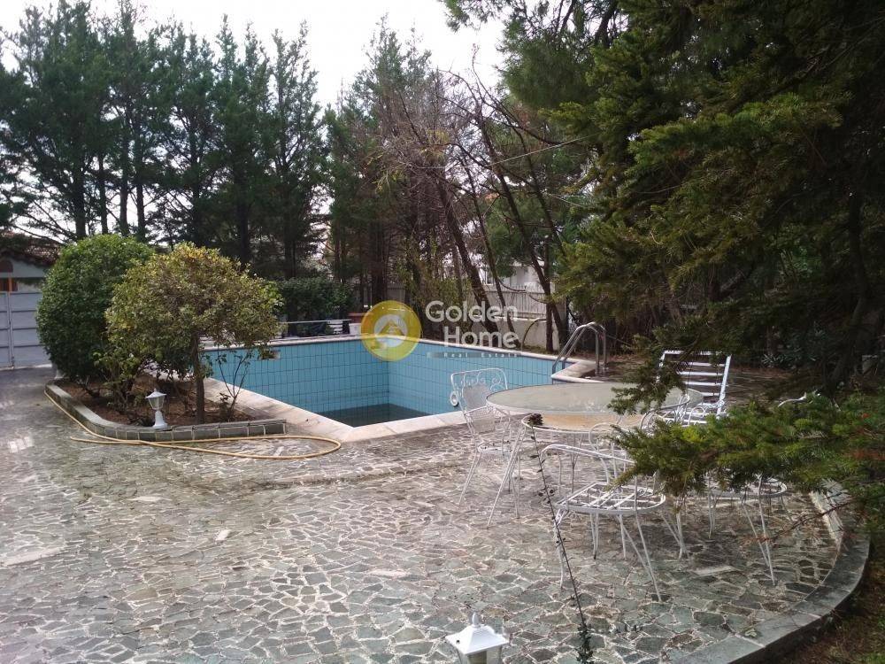 Ανελκυστήρας