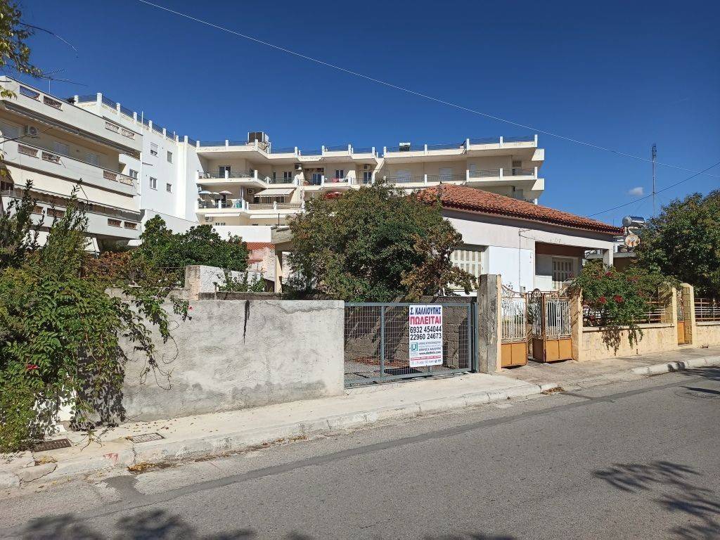 E PROSOPSE EPI TES ODOY TH.TSEKE