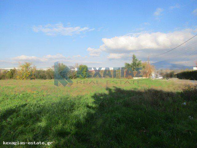 ΕΞΩΤΕΡΙΚΗ ΛΗΨΗ