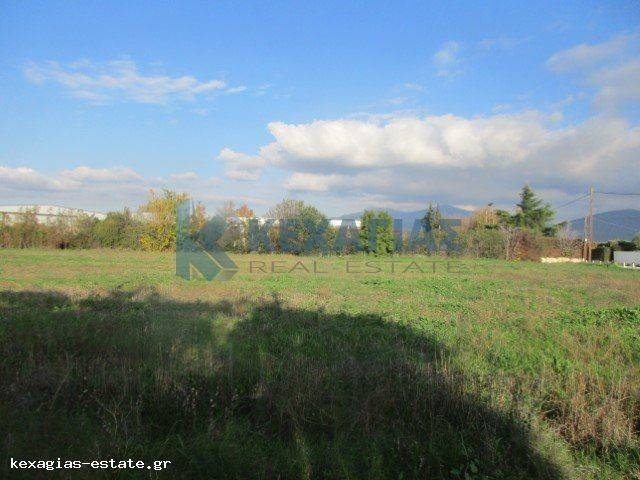 ΕΞΩΤΕΡΙΚΗ ΛΗΨΗ