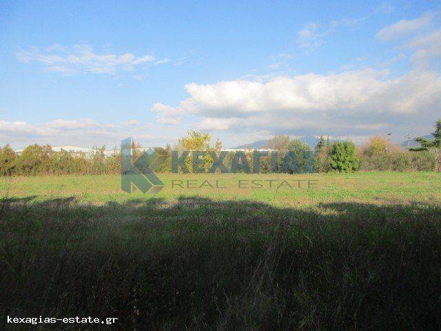 ΕΞΩΤΕΡΙΚΗ ΛΗΨΗ