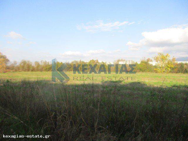 ΕΞΩΤΕΡΙΚΗ ΛΗΨΗ