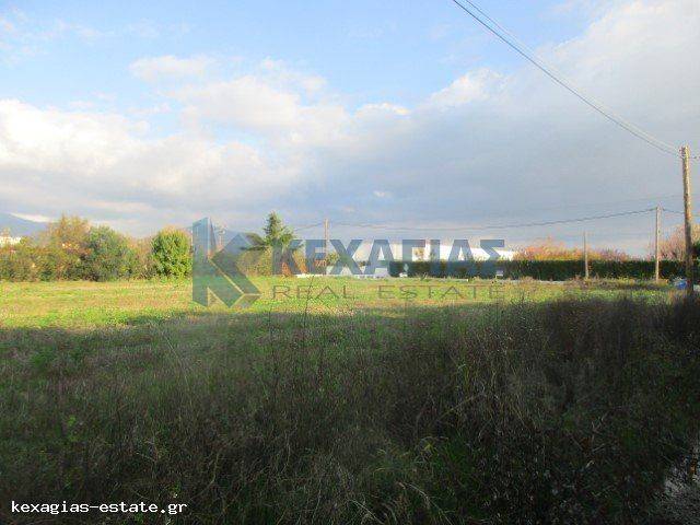 ΕΞΩΤΕΡΙΚΗ ΛΗΨΗ