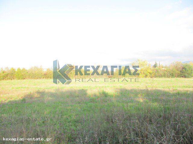 ΕΞΩΤΕΡΙΚΗ ΛΗΨΗ