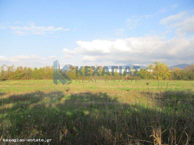 ΕΞΩΤΕΡΙΚΗ ΛΗΨΗ