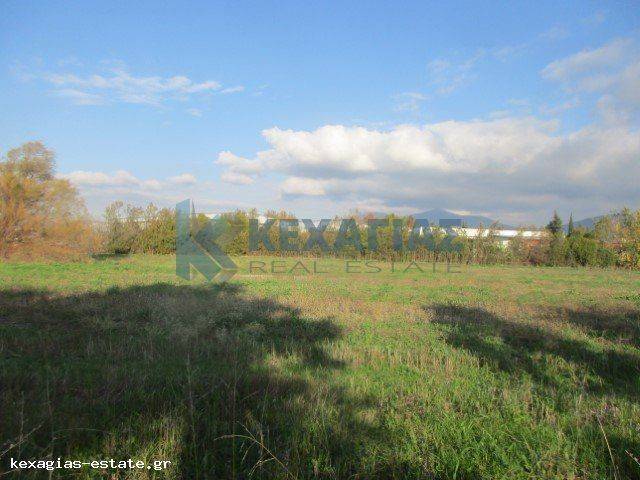 ΕΞΩΤΕΡΙΚΗ ΛΗΨΗ