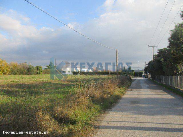 ΕΞΩΤΕΡΙΚΗ ΛΗΨΗ