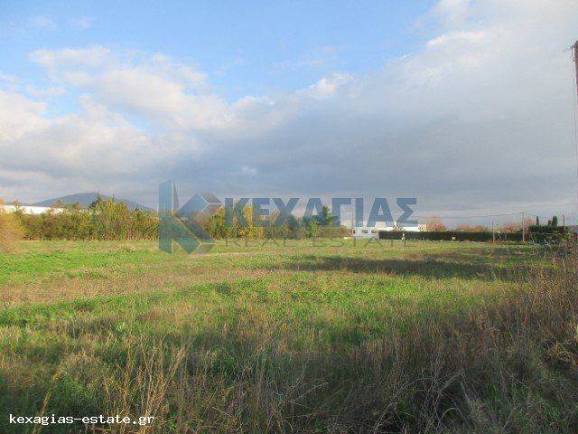 ΕΞΩΤΕΡΙΚΗ ΛΗΨΗ