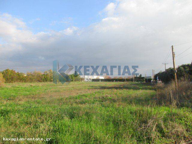 ΕΞΩΤΕΡΙΚΗ ΛΗΨΗ