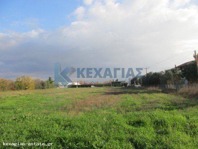 ΕΞΩΤΕΡΙΚΗ ΛΗΨΗ