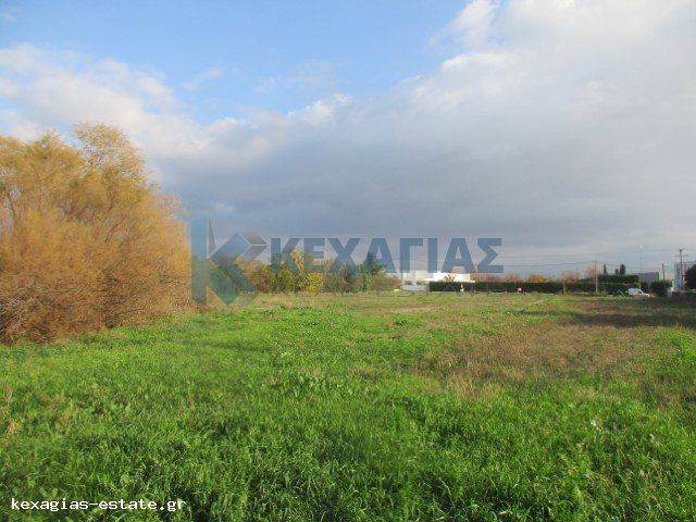 ΕΞΩΤΕΡΙΚΗ ΛΗΨΗ