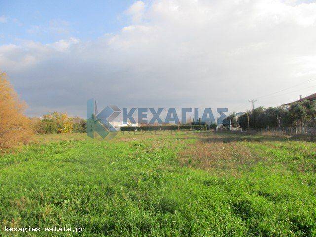 ΕΞΩΤΕΡΙΚΗ ΛΗΨΗ