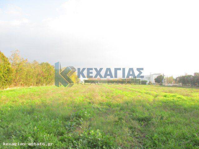 ΕΞΩΤΕΡΙΚΗ ΛΗΨΗ