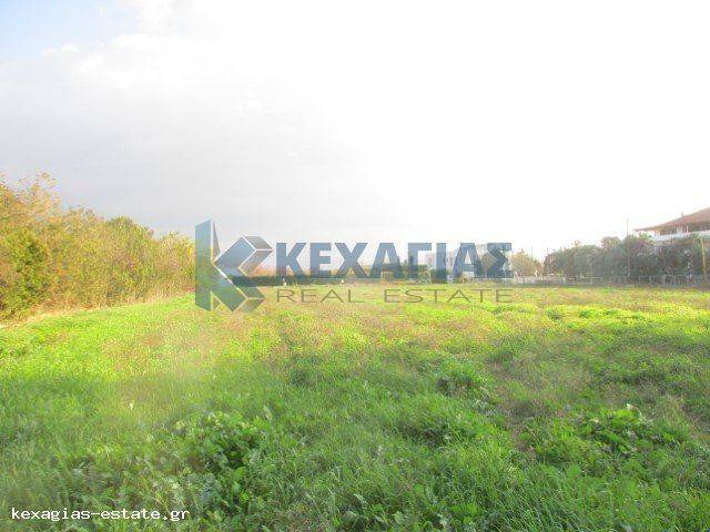 ΕΞΩΤΕΡΙΚΗ ΛΗΨΗ