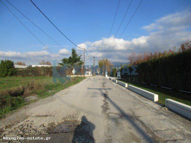 ΕΞΩΤΕΡΙΚΗ ΛΗΨΗ