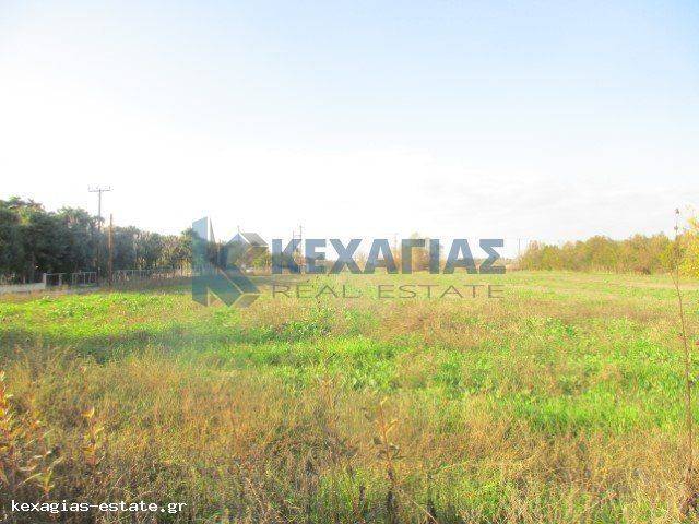 ΕΞΩΤΕΡΙΚΗ ΛΗΨΗ