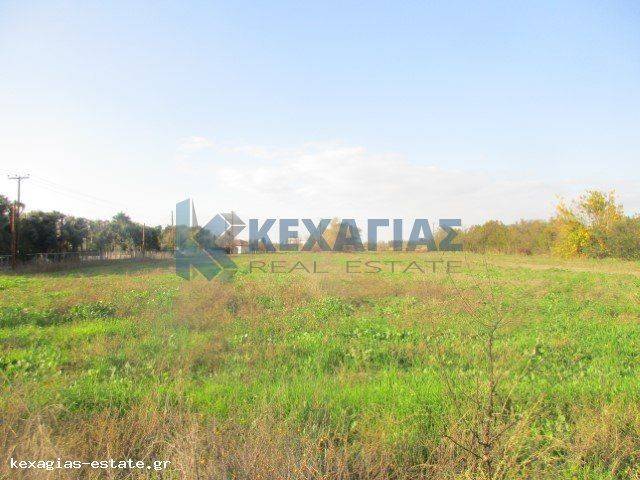 ΕΞΩΤΕΡΙΚΗ ΛΗΨΗ