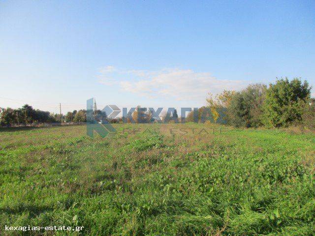 ΕΞΩΤΕΡΙΚΗ ΛΗΨΗ