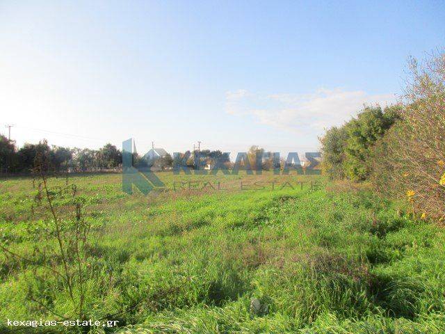 ΕΞΩΤΕΡΙΚΗ ΛΗΨΗ