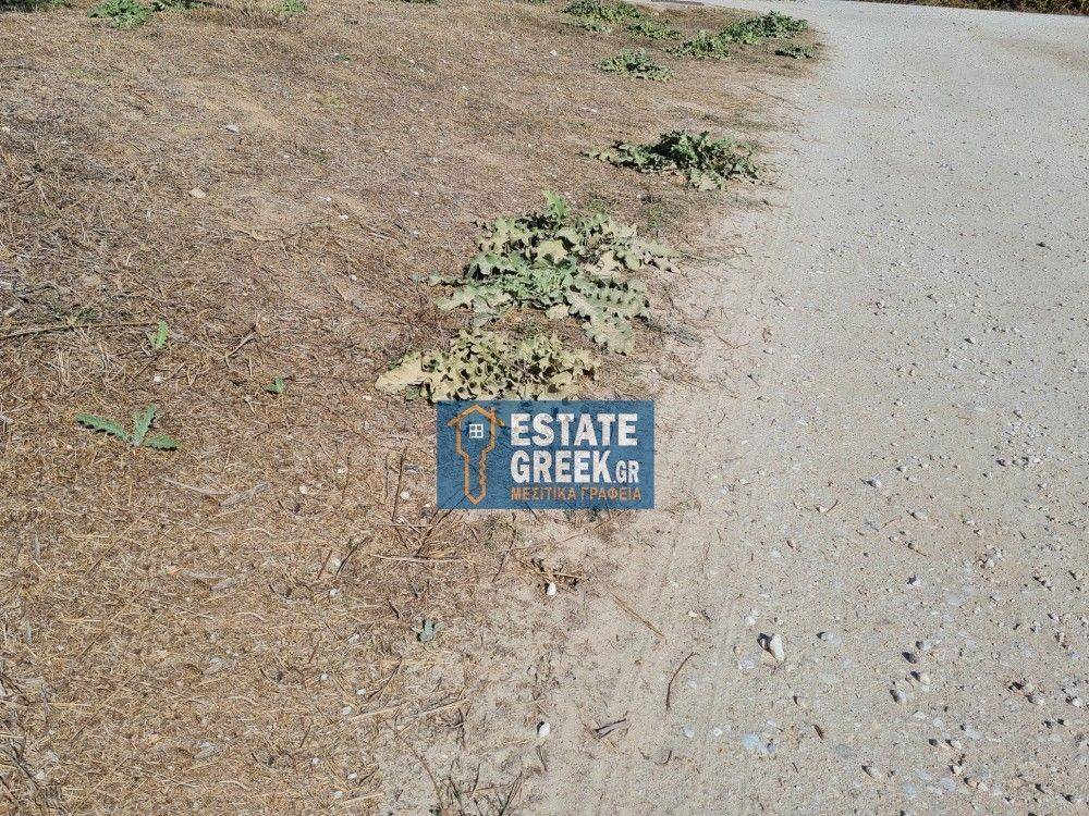 ★ Επικλινές  ★ Πρόσωπο σε ασφαλτόδρομο ★ 250μ από θάλασσα