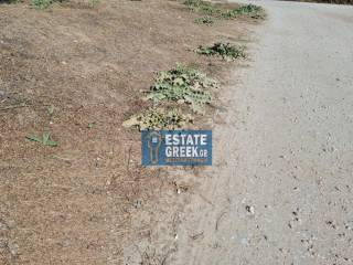 ★ Επικλινές  ★ Πρόσωπο σε ασφαλτόδρομο ★ 250μ από θάλασσα