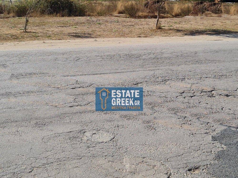 ★ Επικλινές  ★ Πρόσωπο σε ασφαλτόδρομο ★ 250μ από θάλασσα