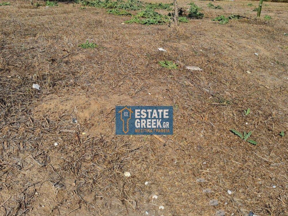 ★ Επικλινές  ★ Πρόσωπο σε ασφαλτόδρομο ★ 250μ από θάλασσα