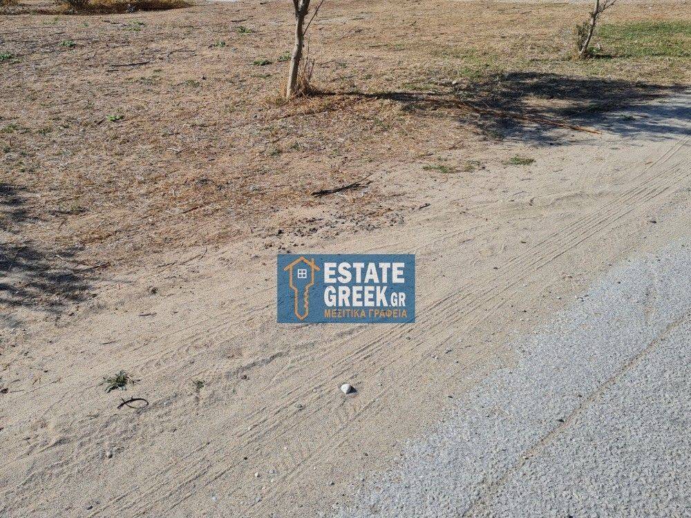 ★ Επικλινές  ★ Πρόσωπο σε ασφαλτόδρομο ★ 250μ από θάλασσα