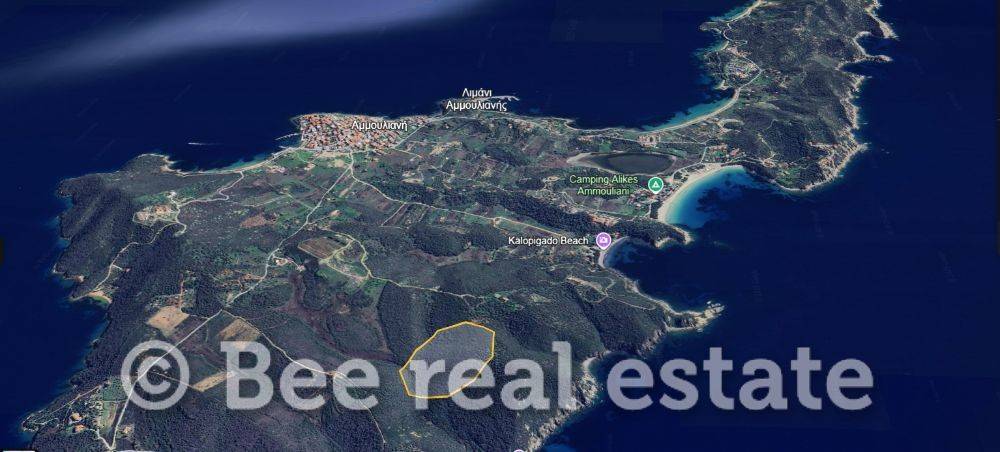 Άποψη εξωτερικού χώρου